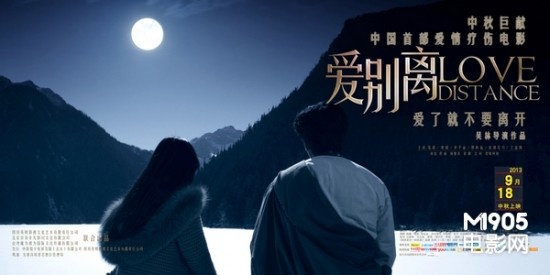 美国idea法律